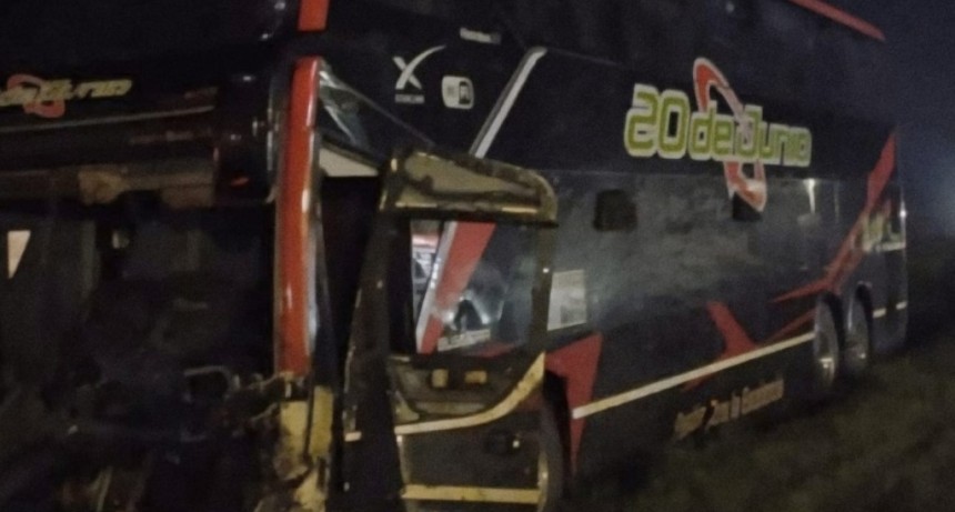 Un camión y un micro de larga distancia embisten caballos sueltos en Ruta  9. Afortunadamente no hay heridos