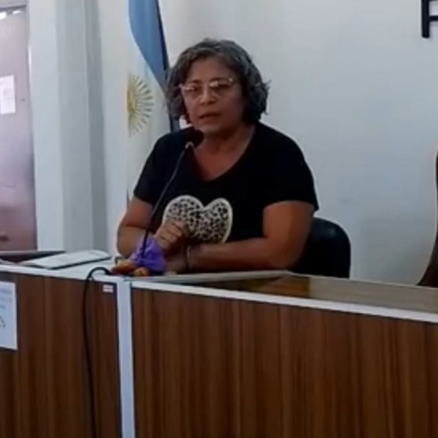 “El debate se da acá adentro”: Isarra cruzó a la oposición por ausentarse en la sesión por el acuerdo con Ternium