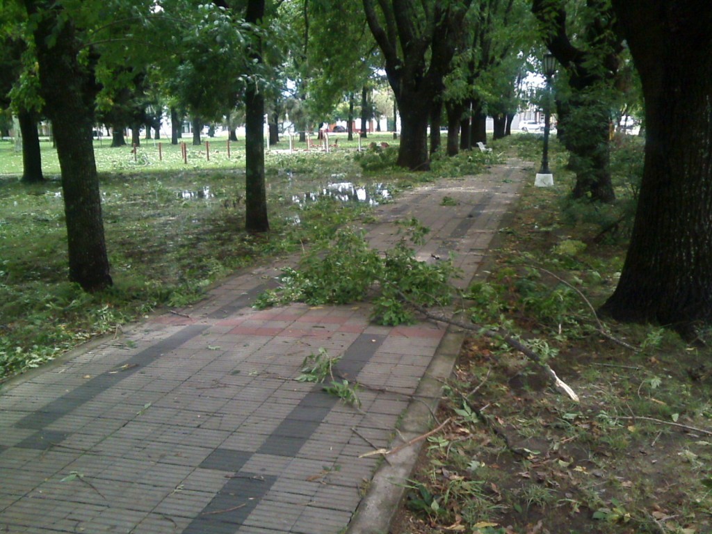 Temporal intenso y múltiples intervenciones en el norte bonaerense