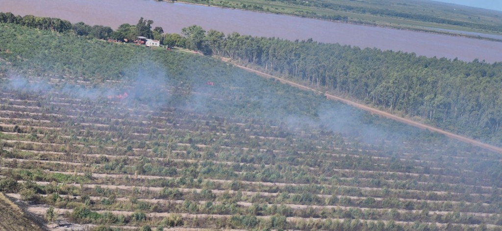 Incendio de grandes proporciones en Costa Pobre: más de nueve horas de trabajo y apoyo aéreo