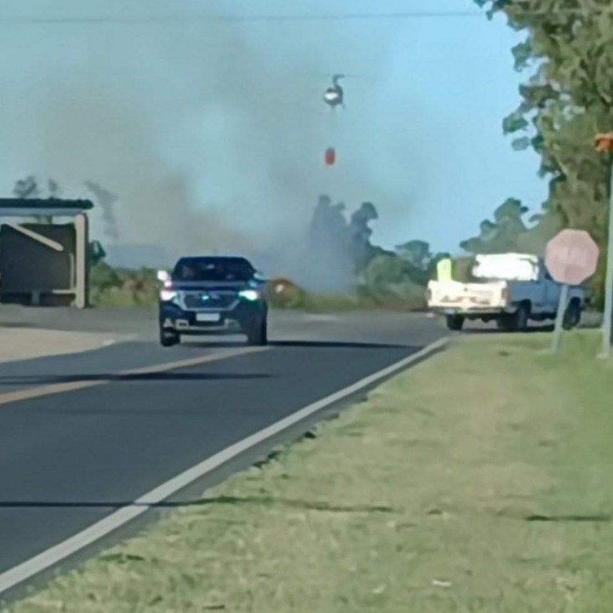 Tres intervenciones en un día: incendio forestal, choque fatal y alerta en Ruta 9