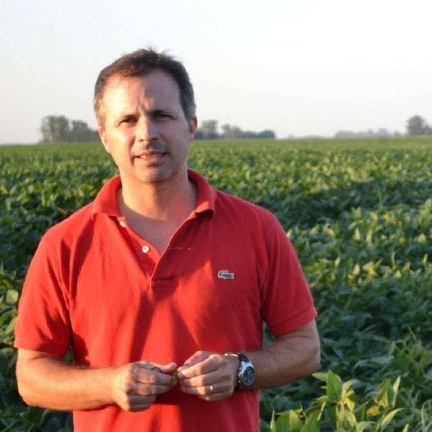 Rendimientos dispares y m&aacute;rgenes ajustados marcan el pulso de la campa&ntilde;a en la regi&oacute;n