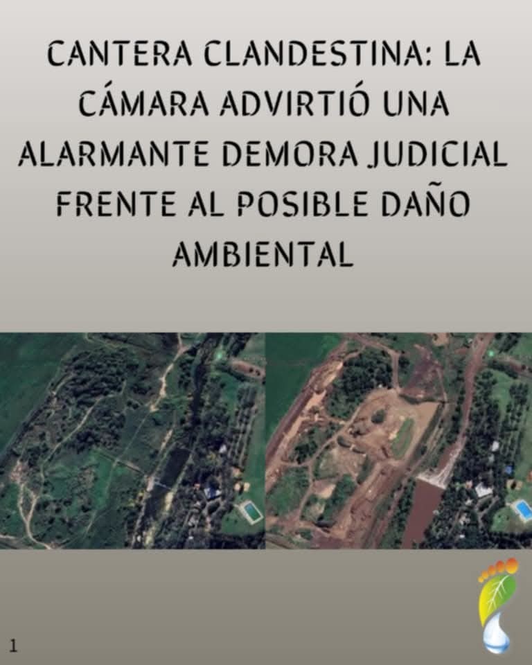 UPVA denuncia: La C&aacute;mara de San Nicol&aacute;s advierte una &ldquo;alarmante demora&rdquo; judicial frente al da&ntilde;o en el arroyo Ramallo