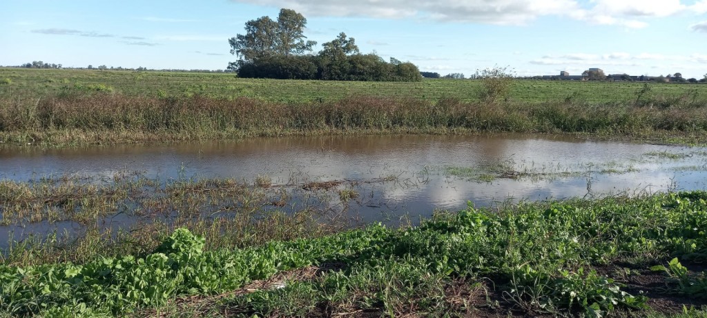 Lluvias desbordantes: registros extraordinarios desafían la actividad agrícola en el país