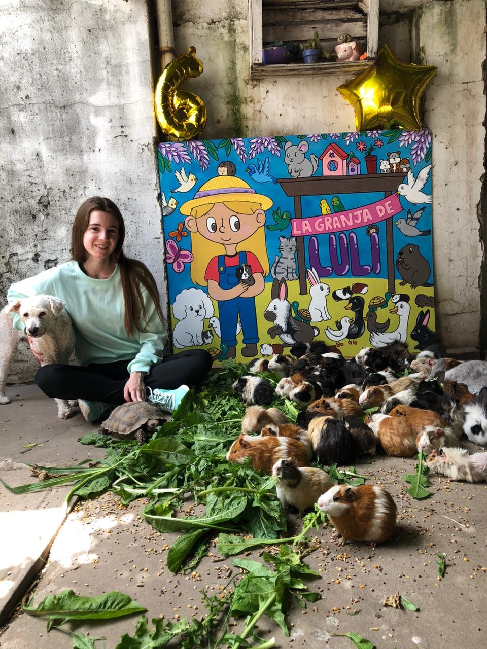 Robaron 30 animales de "La Granja de Luli" y los venden en la calle
