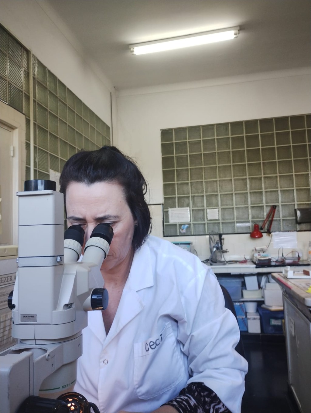 La cient&iacute;fica que sali&oacute; de la escuela p&uacute;blica y hoy lidera investigaciones clave para el agro