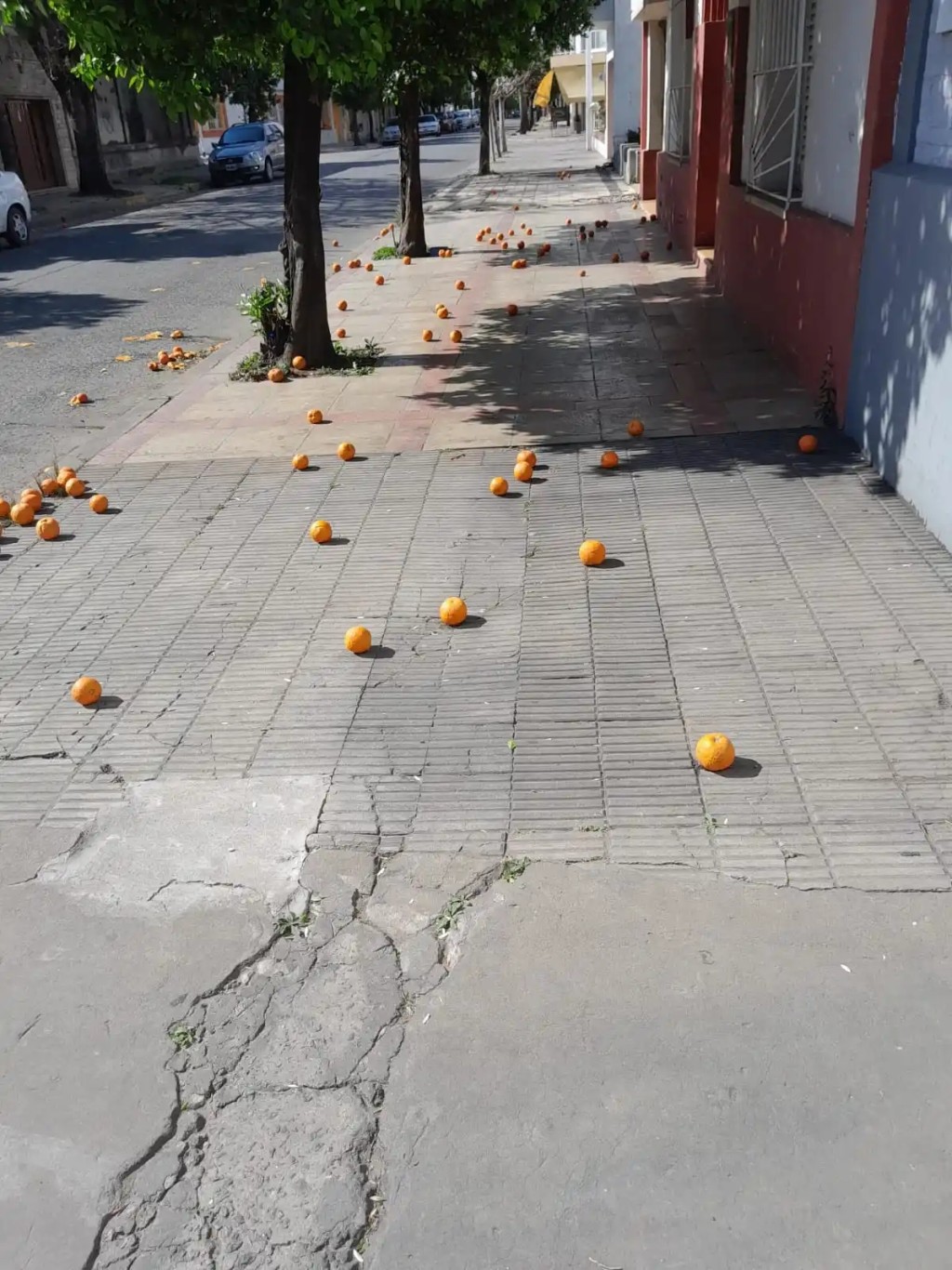 Vietnam pone la mirada en la naranja amarga y abre una inesperada oportunidad para la regi&oacute;n
