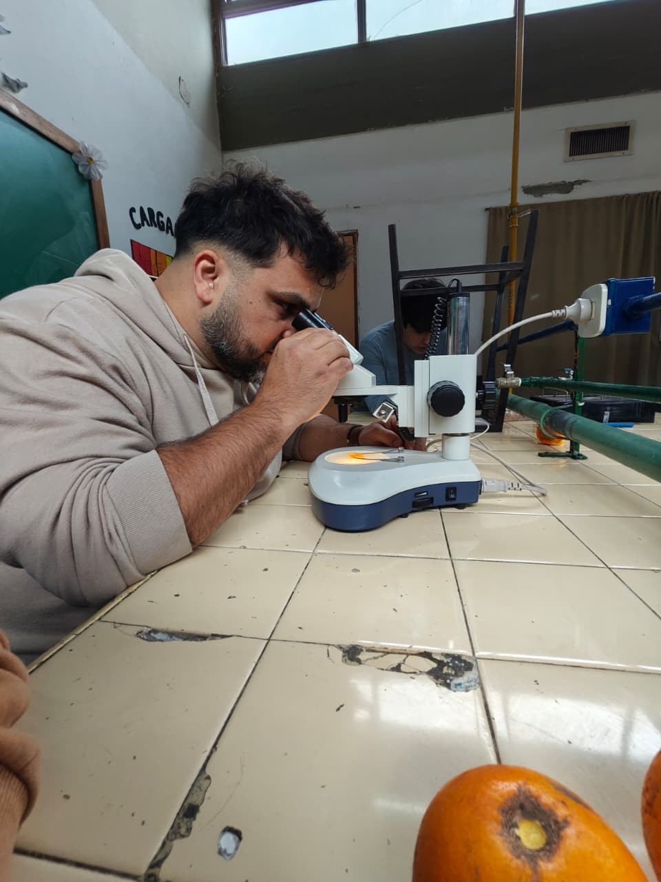 De un proyecto escolar a una oportunidad internacional: la investigaci&oacute;n con naranja amarga que naci&oacute; en una escuela t&eacute;cnica de San Pedro