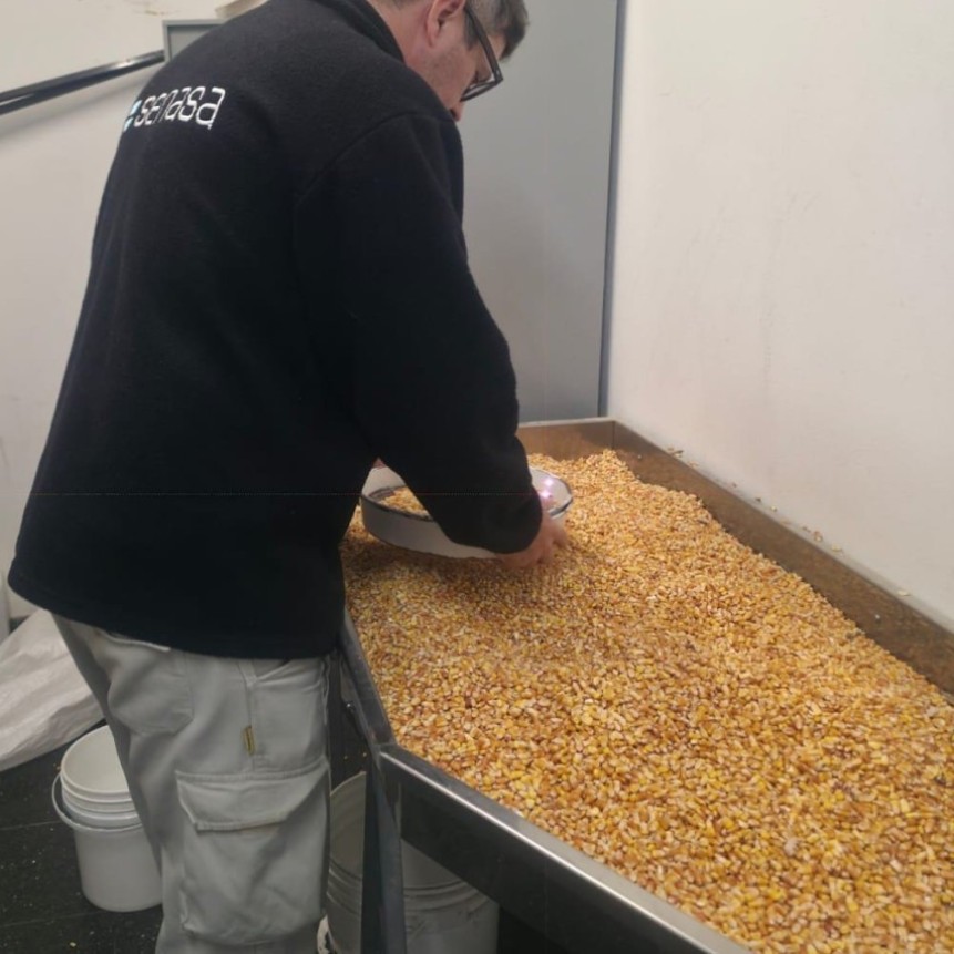 De Ramallo a Vietnam: despacharon 575.000 toneladas de ma&iacute;z