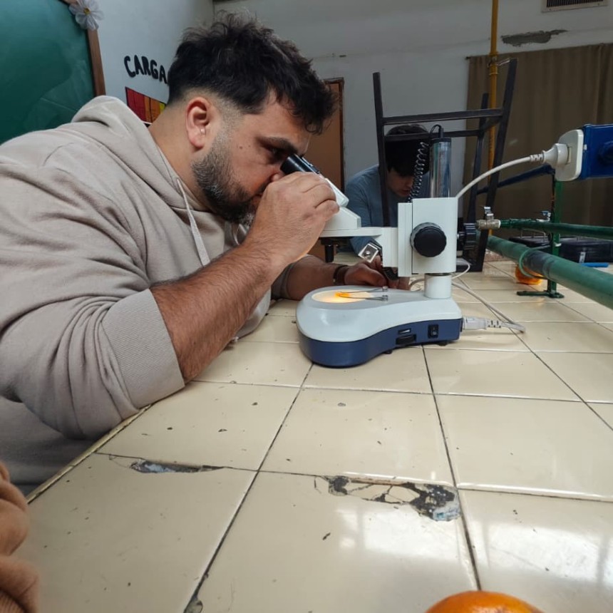 De un proyecto escolar a una oportunidad internacional: la investigaci&oacute;n con naranja amarga que naci&oacute; en una escuela t&eacute;cnica de San Pedro