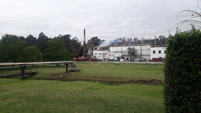 Capit&aacute;n Sarmiento en vilo: Granja Tres Arroyos fren&oacute; su planta y crece el temor por la continuidad laboral