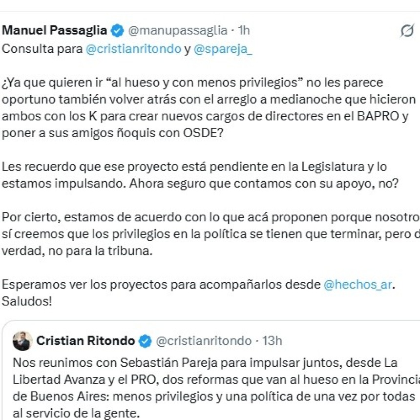 Passaglia cruz&oacute; a Ritondo y Pareja por sus propuestas de reforma en la Provincia: &ldquo;Menos privilegios, pero de verdad&rdquo;