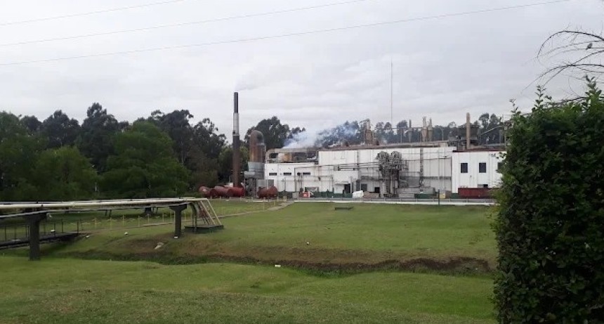 Capit&aacute;n Sarmiento en vilo: Granja Tres Arroyos fren&oacute; su planta y crece el temor por la continuidad laboral