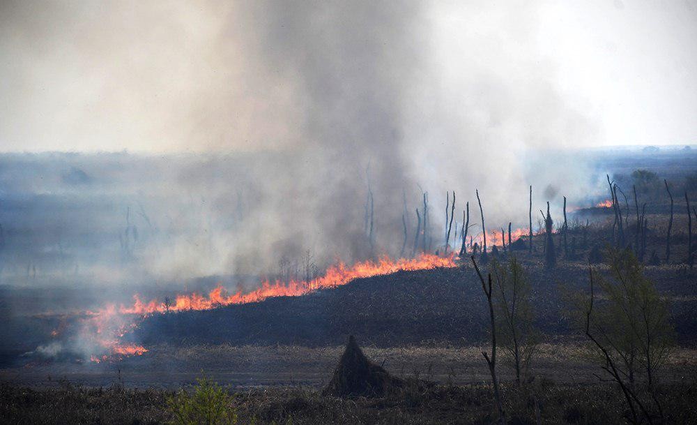 Defensa Civil de Ramallo activa la Mesa del Fuego ante alertas por sequía y riesgo de incendios