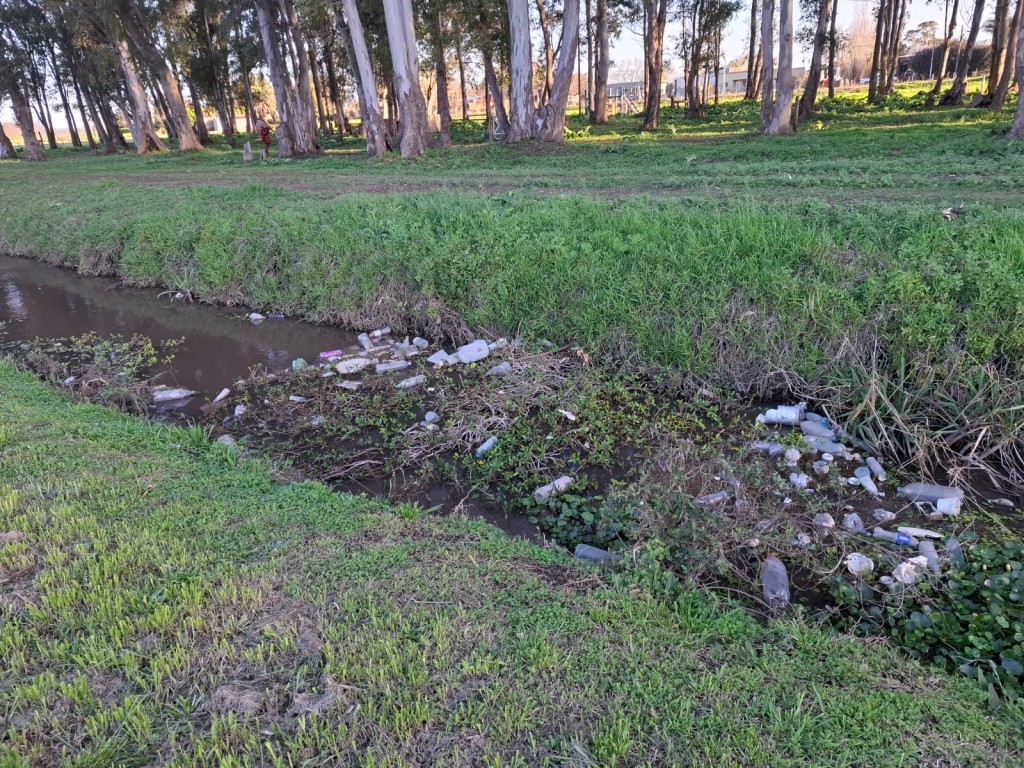 Violenta agresión a un delegado en Pergamino durante tareas de limpieza tras las lluvias