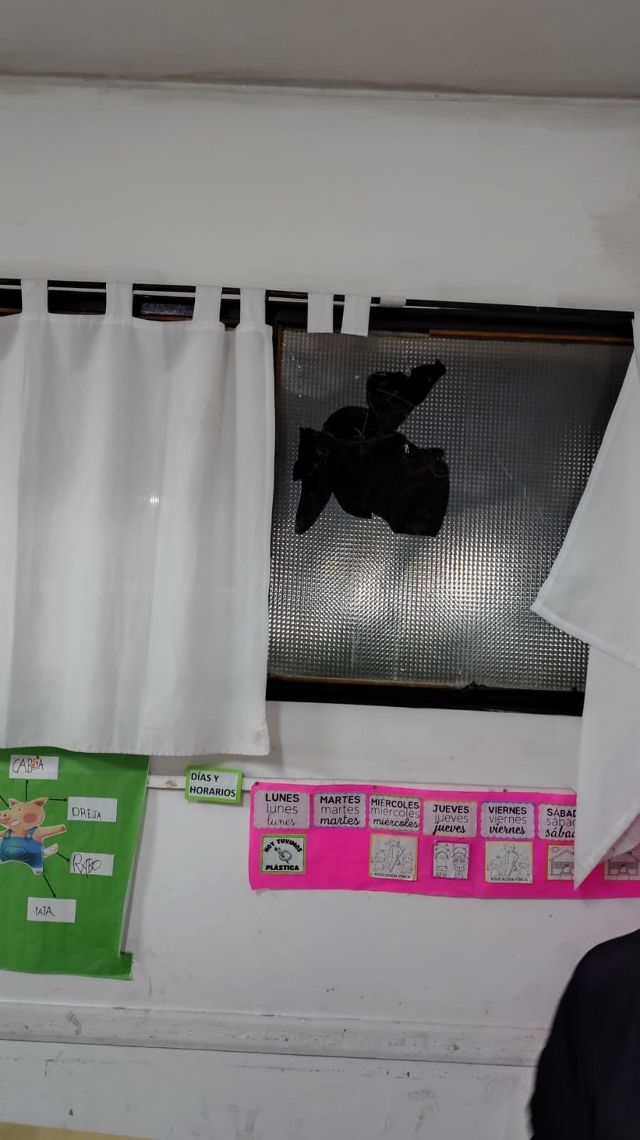 Nuevo acto de vandalismo en el Instituto Ramallo