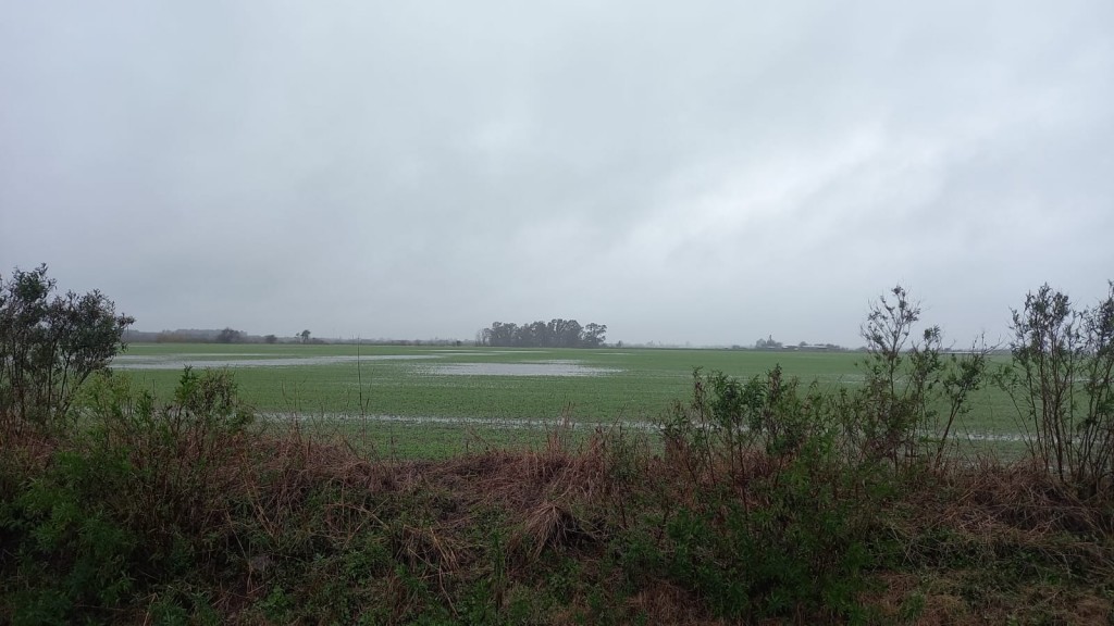 Lluvias intensas y desiguales en el norte bonaerense
