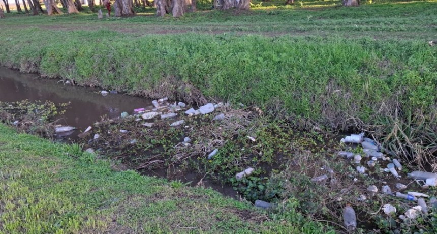 Violenta agresión a un delegado en Pergamino durante tareas de limpieza tras las lluvias