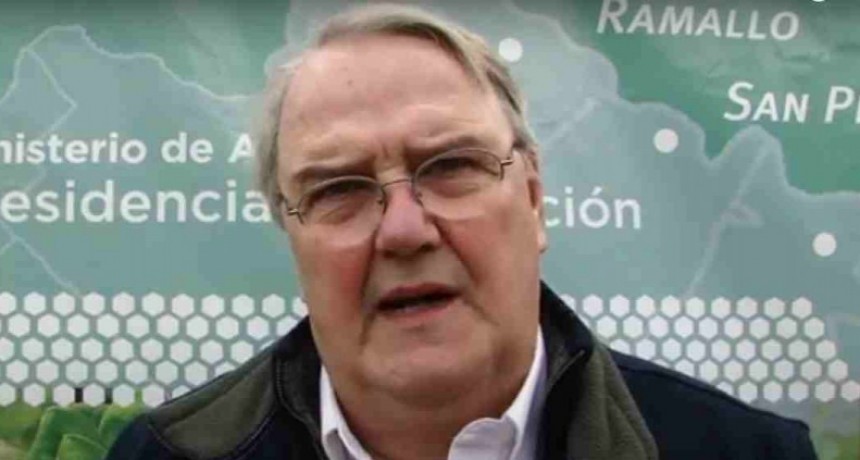 Respaldan la medida de Milei para granos, pero exigen 