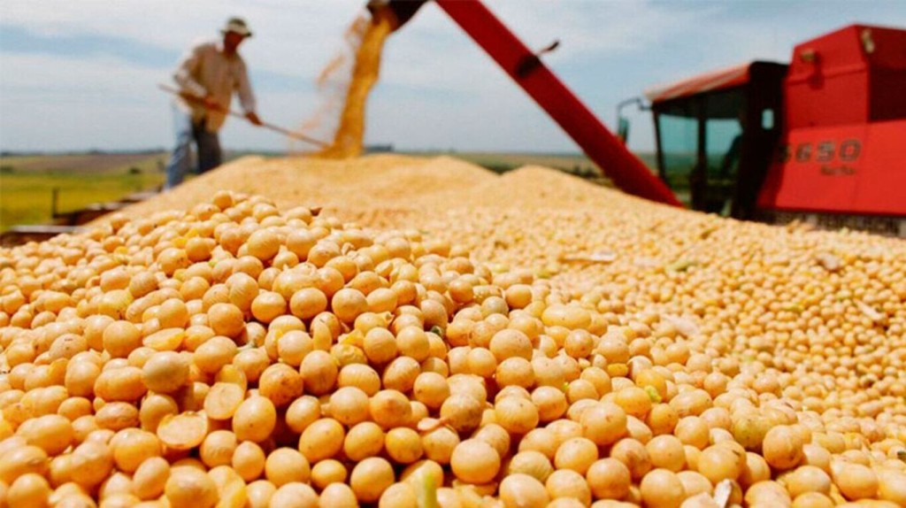 La soja toc&oacute; su precio m&aacute;s alto en tres a&ntilde;os y reaviva las expectativas en el campo 