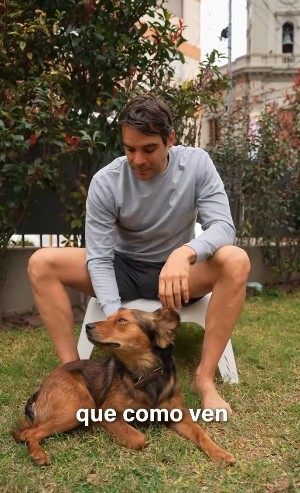 &ldquo;&Eacute;l tambi&eacute;n nos rescat&oacute; a nosotros&rdquo;: impulsan un proyecto de ley para proteger a los animales