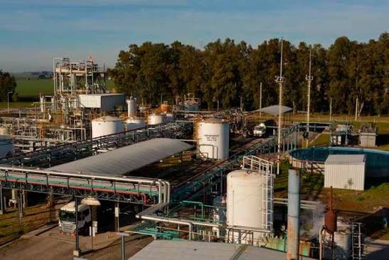 La reforma de los biocombustibles avanza en el Senado y genera alarma en las pymes de Ramallo