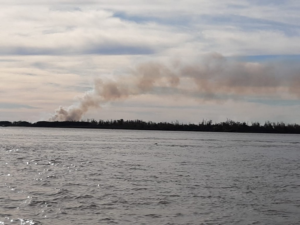 La UNR detect&oacute; nuevos focos de incendio en las islas frente a Ramallo y San Nicol&aacute;s