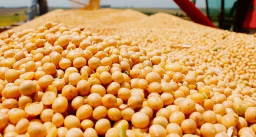 La soja toc&oacute; su precio m&aacute;s alto en tres a&ntilde;os y reaviva las expectativas en el campo 