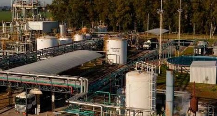 La reforma de los biocombustibles avanza en el Senado y genera alarma en las pymes de Ramallo