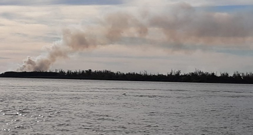 La UNR detect&oacute; nuevos focos de incendio en las islas frente a Ramallo y San Nicol&aacute;s