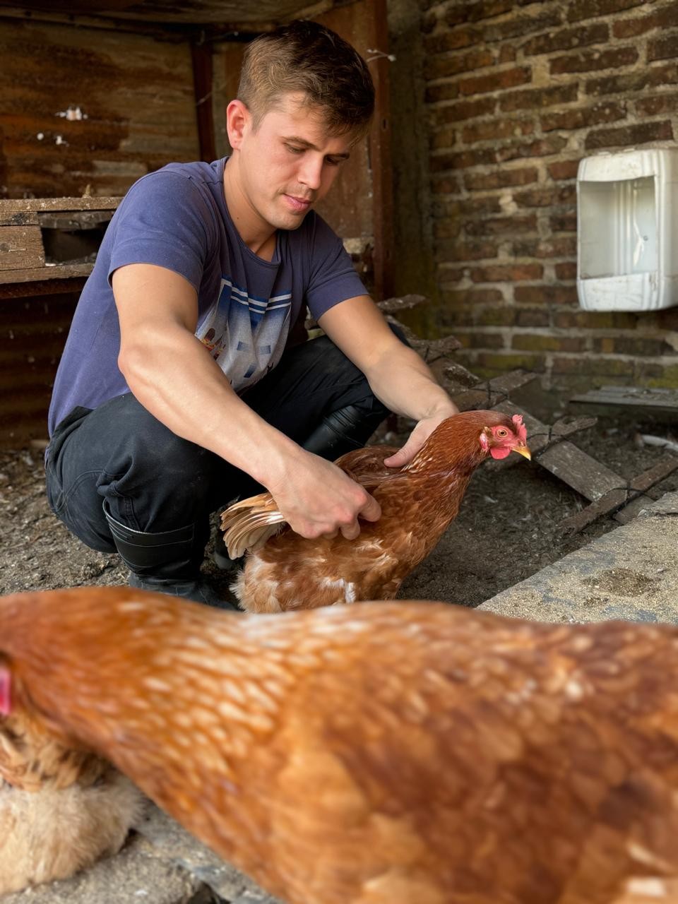 En Pérez Millán, un joven impulsa un proyecto avícola basado en bienestar animal y calidad