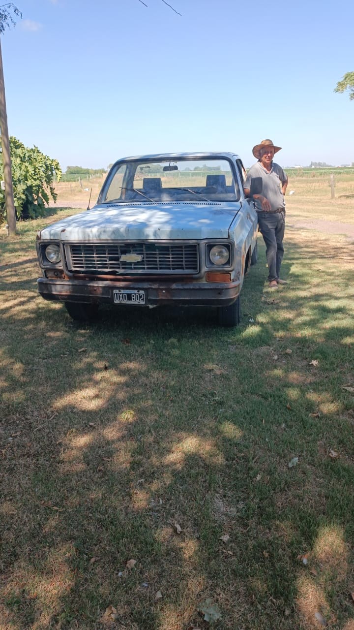 &ldquo;Te arruinan&rdquo;: el dolor de un trabajador rural al que le robaron diez animales