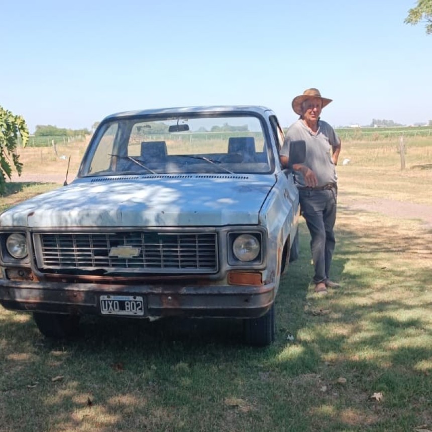 &ldquo;Te arruinan&rdquo;: el dolor de un trabajador rural al que le robaron diez animales