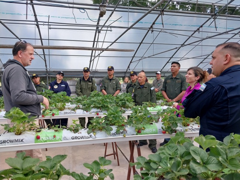 San Pedro aporta ciencia al fin del mundo: el INTA capacita a los futuros invernantes antárticos en hidroponía