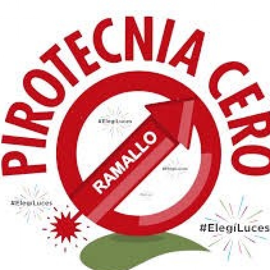 Para el 31 a la noche, el municipio insiste con pirotecnia cero y 